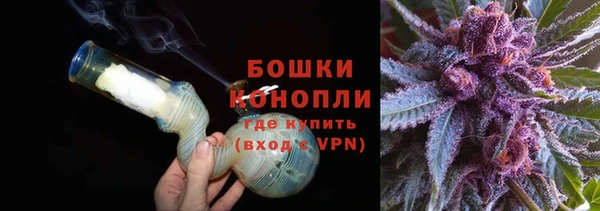 сатива Аркадак