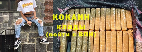 сатива Аркадак