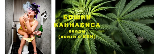 сатива Аркадак