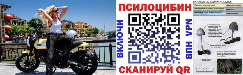 Галлюциногенные грибы Psilocybine cubensis что такое Нягань